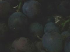 -柯剑飞超级水果批发中心(东港店)