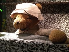 -济州岛泰迪熊博物馆