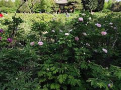 -迎泽公园