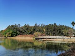 -南国桃园旅游度假区