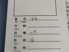 -申普宠物医院(总院)