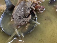 -一代菌王·竹荪鹅(江苏旗舰店)