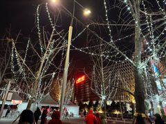 -北京园博大酒店