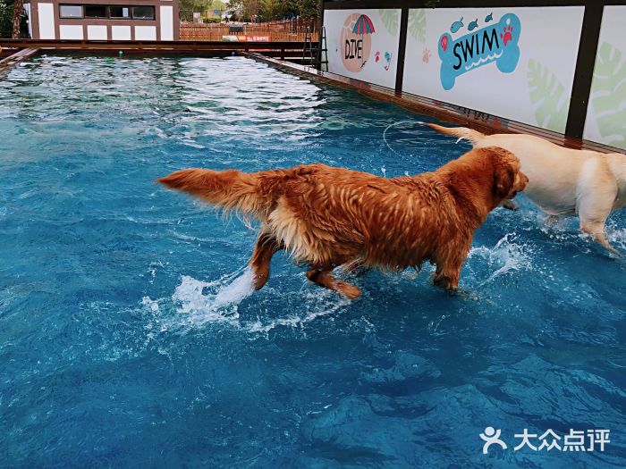 太阳岛度假酒店图片