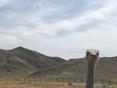-新疆天山野生动物园