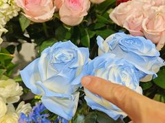 -FEI FEI FLOWER鲜花店·气球派对·宝宝宴布置(虹口德必运动Loft店)