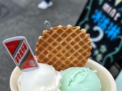 -Mint Gelato(二厂店)
