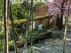 -一叶觅山(半边街店)