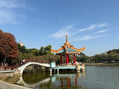 -金砂公园