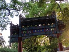 -北京国子监胡同