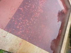 -咸宁万豪温泉谷度假区