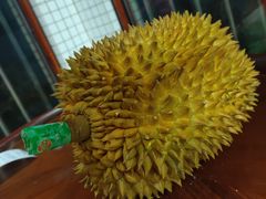 -果叔叁拾加(锦绣生态园店)