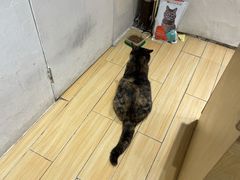 -许阿姨糕团店(南京总店)