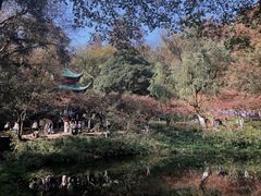 -岳麓山风景名胜区