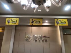 -静博士·养生养颜