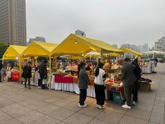 -汇德隆银隆