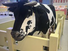 -红星前进面包牛奶公司(君太店)