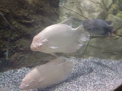 -北京海洋馆