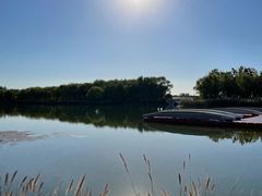 -大兴滨河森林公园