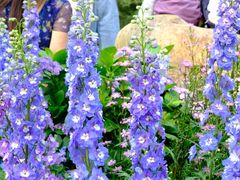 -人民公园(罗湖区)