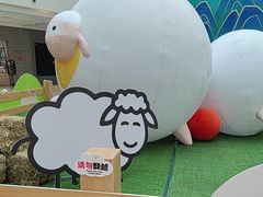 -阳光天地