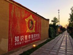 -特克斯八卦城