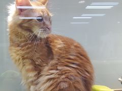 -乐宠宠物店(世纪金源店)