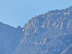 -泰安东尊华美达广场酒店(泰山景区店)