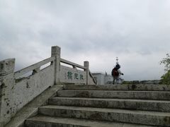 -上海鲜花港
