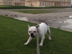 -北京拉斐特城堡酒店