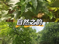 -大连植物园