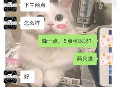 -袖虎·猫馆(体育西路店)