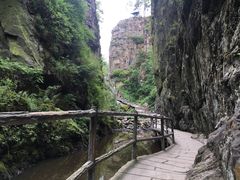 -茅兰沟国家森林公园
