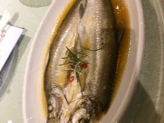 太湖白鱼-乾园(天河城店)