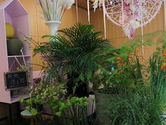 -蝶舍·MAISON PAPILLON