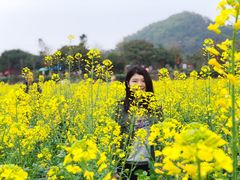 -红山村