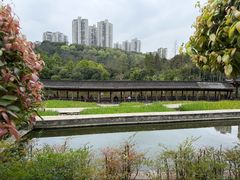 -龙头寺公园