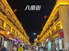 -布达拉宫