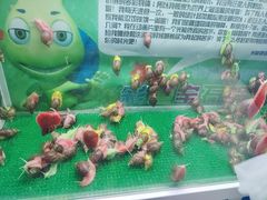 -海合安青岛极地海洋公园