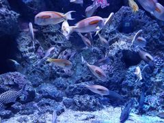 -成都浩海立方海洋公园