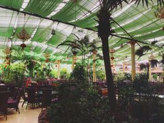 -陶然居·重庆菜(生态园店)