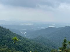 -素山寺森林公园