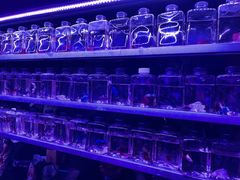 -华声天桥民俗文化园