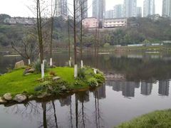 -重庆彩云湖湿地公园