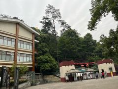 -大金鹰园