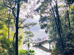 -广州市白云山风景名胜区