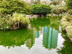 -九龙公园