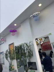 -韩鑫烫染接发·收长头发