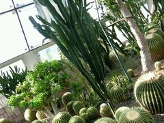 -北京植物园-展览温室