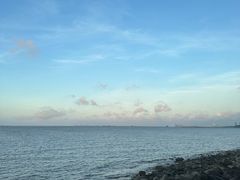 -上海吴淞炮台湾国家湿地公园